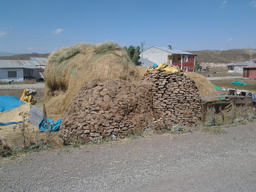 Turquie - Vers Selem bouse de vache qui seche